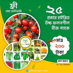 ২৫ ধরনের সবজি বীজ